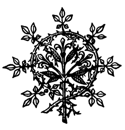 Lys