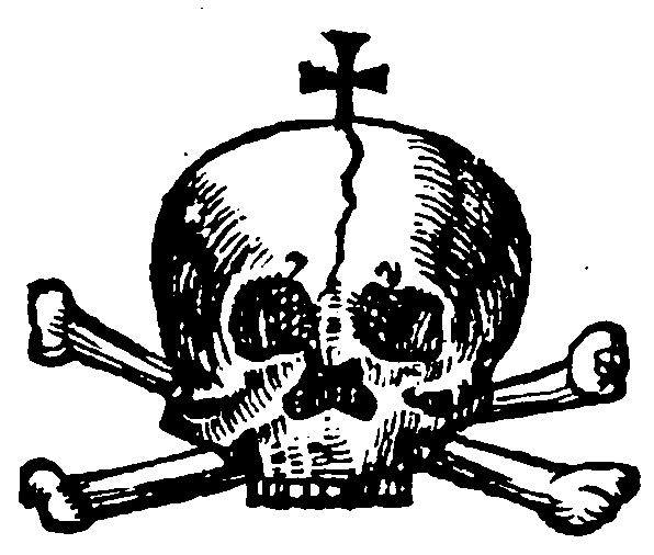 Skull